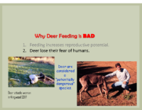 Slide 10_Englewood Present Deer Mgmt june2019