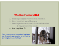 Slide 12_Englewood Present Deer Mgmt june2019