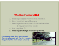 Slide 13_Englewood Present Deer Mgmt june2019