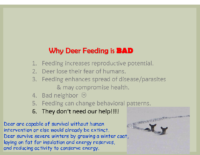 Slide 14_Englewood Present Deer Mgmt june2019