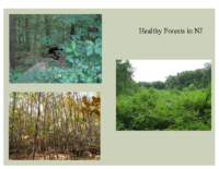 Slide 22_Englewood Present Deer Mgmt june2019