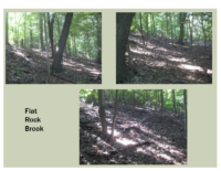 Slide 23_Englewood Present Deer Mgmt june2019