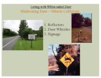 Slide 27_Englewood Present Deer Mgmt june2019