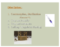 Slide 28_Englewood Present Deer Mgmt june2019