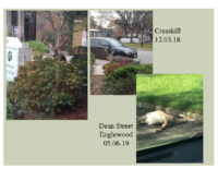 Slide 2_Englewood Present Deer Mgmt june2019