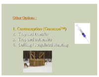 Slide 33_Englewood Present Deer Mgmt june2019