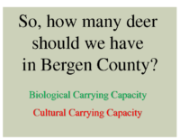 Slide 41_Englewood Present Deer Mgmt june2019