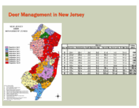Slide 42_Englewood Present Deer Mgmt june2019